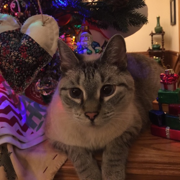 Meet your Posher, Stephanie - Picture 1 of 1